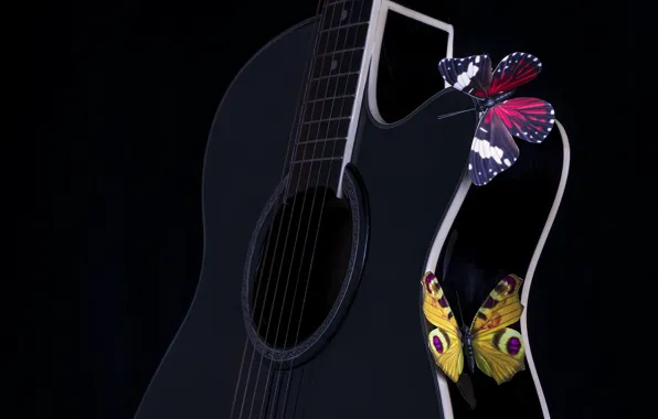 Picture butterfly, music, guitar