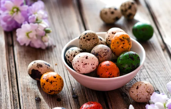 Flowers, eggs, Easter, quail, gillyflower