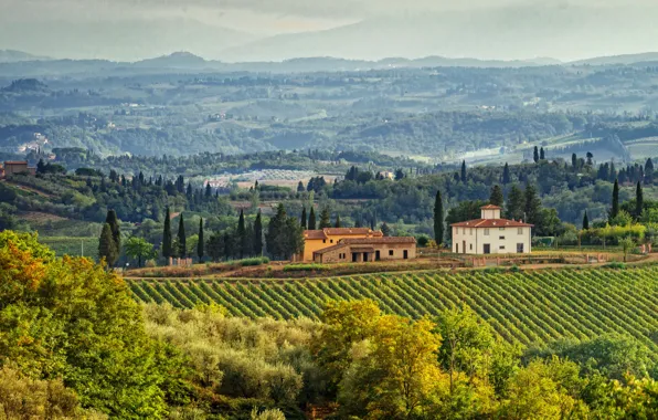 Field, trees, home, Italy, panorama, plantation, Tuscany, Tuscany