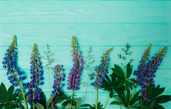 Picture flowers, wood, flowers, purple, lupins, lupine