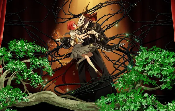 Picture spikes, two, Mahou Tsukai no Yome, Bride of the sorcerer
