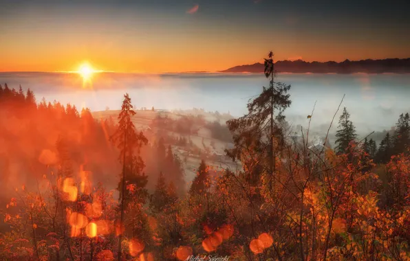 Autumn, the sun, landscape, nature, fog, dawn, morning, valley