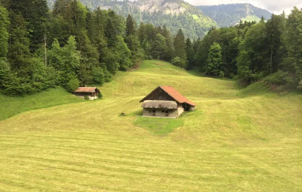 Picture house, Switzerland, Swiss Alps
