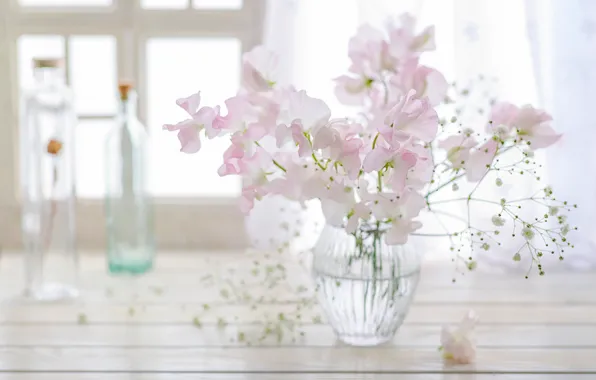 Glass, light, flowers, table, tenderness, bouquet, blur, window