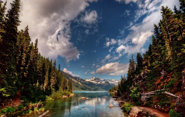 Forest, mountains, river