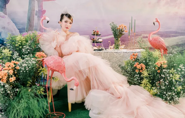 Girl, pose, table, dress, brunette, shoulder, Flamingo, cakes