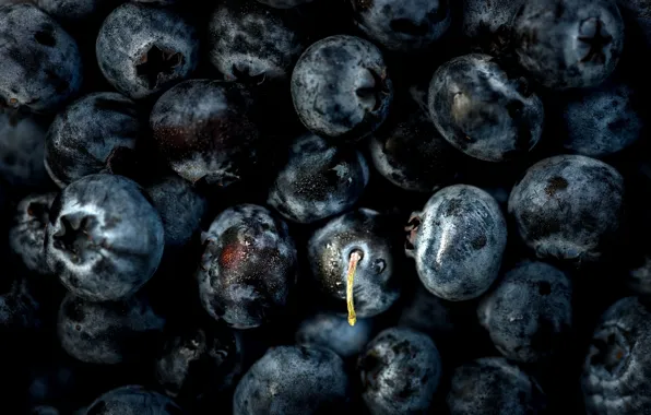 Macro, berries, blueberries