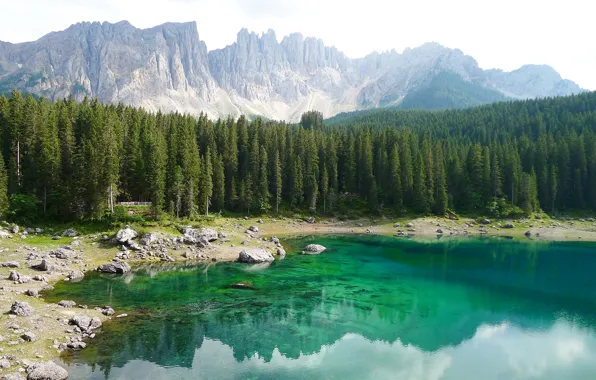 Picture forest, trees, mountains, lake, stones, rocks, shore, Italy