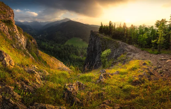 Forest, mountains, stones, the slopes