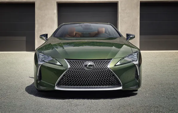 Lexus, rear view, Limited Edition, LC 500, 2019
