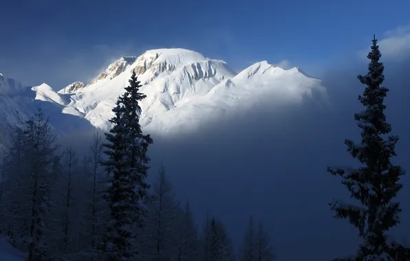 Picture winter, forest, the sky, clouds, snow, trees, landscape, mountains