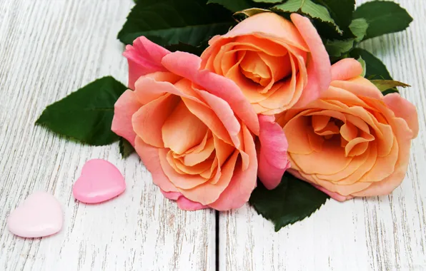 Flowers, bouquet, Roses, pink, buds, Olena Rudo