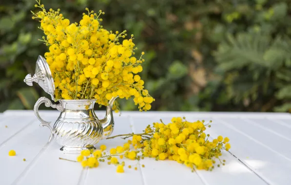 Flowers, bouquet, yellow, kettle, Mimosa