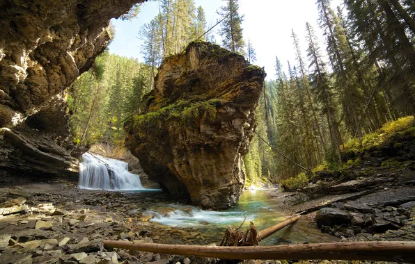 Forest, mountains, river, rocks, waterfall, Canada, Albert, banff national park