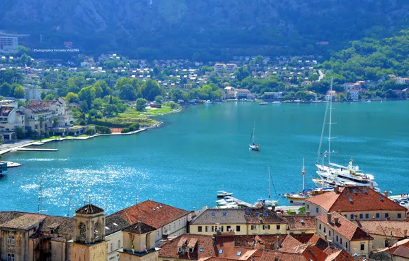 Sea, water, the city, home, promenade, Montenegro, To