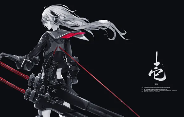 Picture girl, weapons, warrior, black background