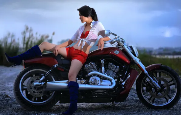 Girl, motorcycle, bike, Asian, Harley Davidson