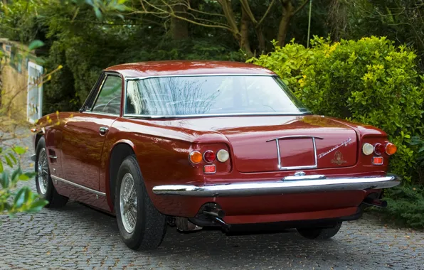 Auto, trees, Maserati, the bushes, Maserati, 5000
