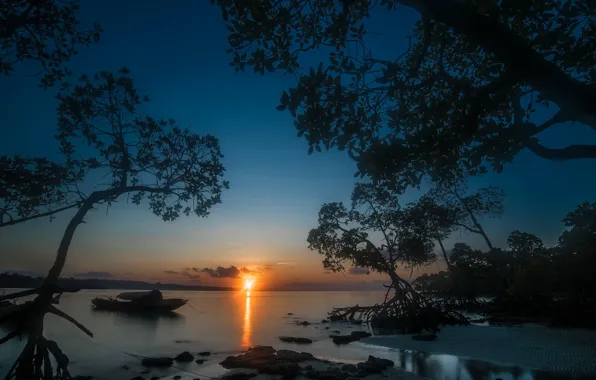 Sea, trees, sunset, boat, India, India, Andaman Islands, Bay of Bengal