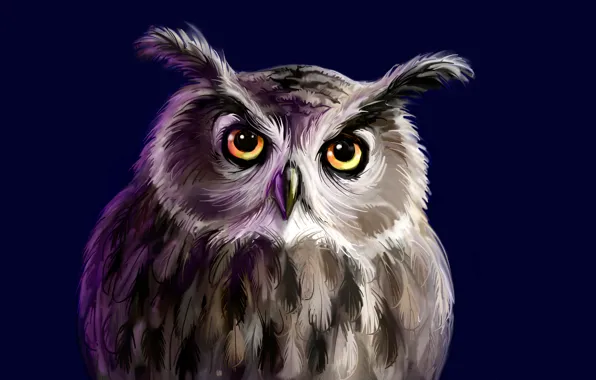 The dark background, owl, bird, owl