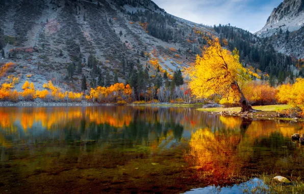 Picture autumn, reflection, trees, landscape, mountains, nature, CA, USA