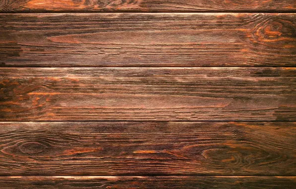 Background, tree, Board, texture, wood