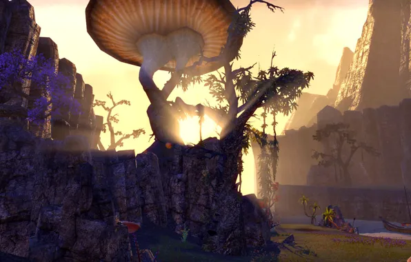 The sun, landscape, the elder scrolls, The Elder Scroll Online, TESO, The Edlder Scrolls, eso