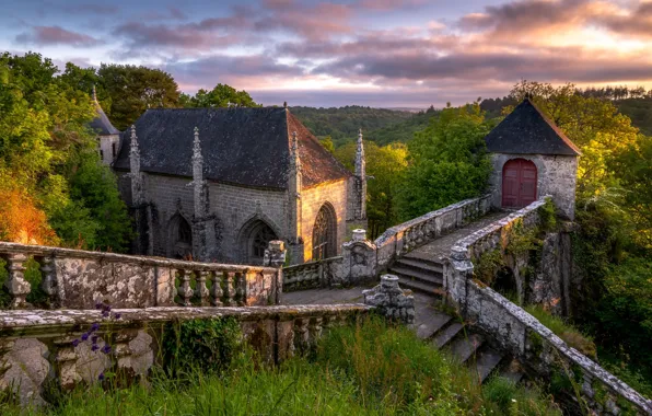 Picture greens, summer, castle, ladder