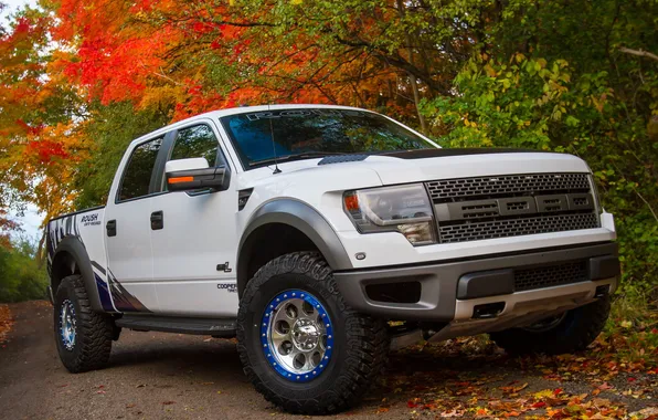 Ford, large, car, Ford, pickup, F-150, SVT Raptor, Roush