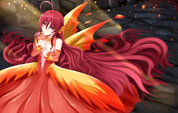 Girl, wings, fairy
