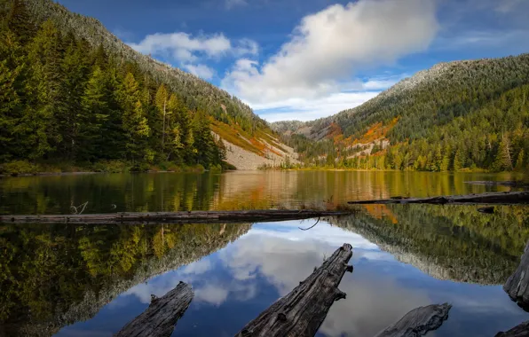 Autumn, forest, the sky, clouds, lake, reflection, ate, pond