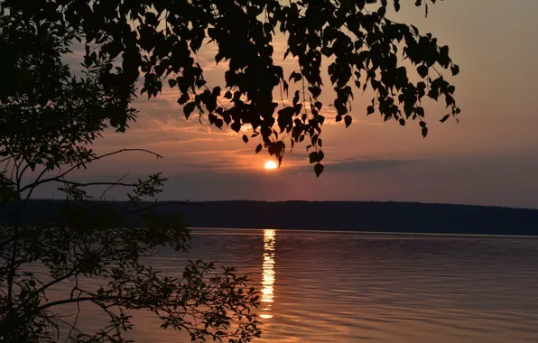 Sunset, The sky, Water, Nature, Leaves, Nature, Sky, Water