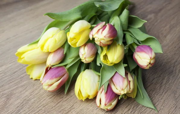 Picture tulips, flowers, tulips, bouquet