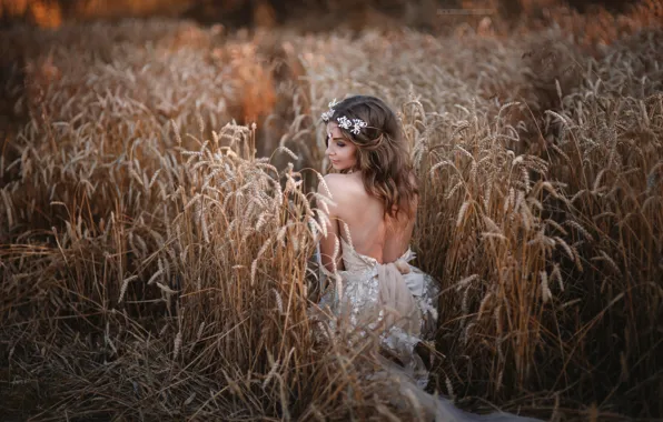Picture girl, back, dress, ears, Victoria Budreikaite