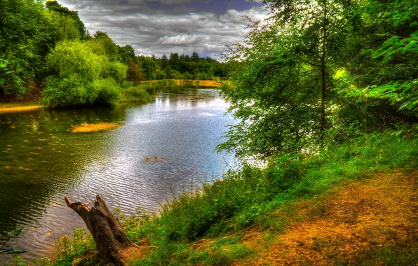 Greens, trees, lake, Park, England, Nostell