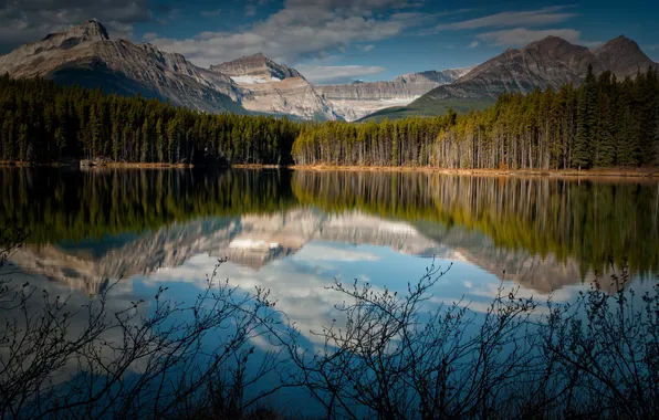 Picture forest, mountains, lake, reflection, Canada, the bushes