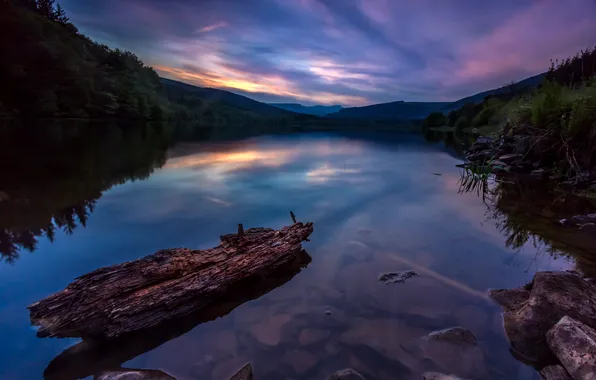 Picture forest, trees, sunset, lake, stones, hills, shore, the evening