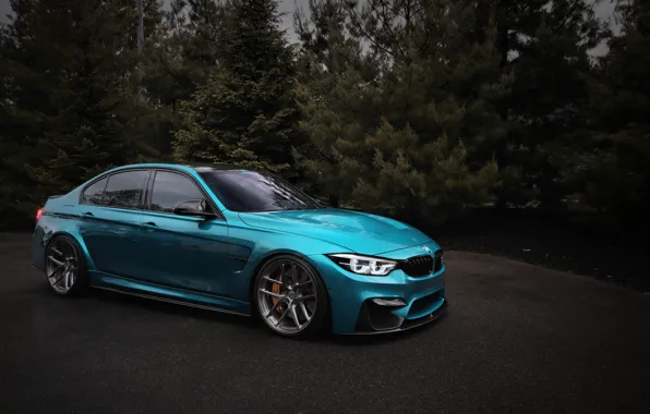 BMW, Light, Blue, Tree, Evening, F80, LED