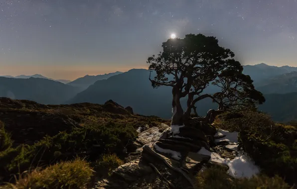 The sky, light, mountains, night, fog, stones, tree, rocks
