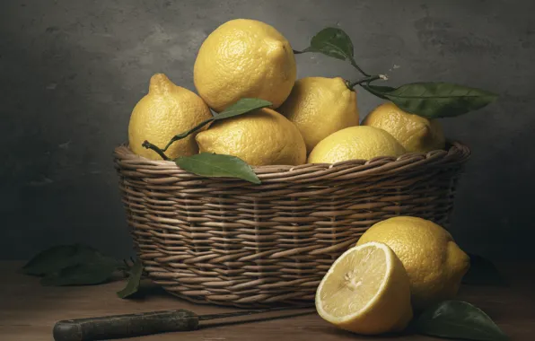 Picture basket, knife, still life, citrus, lemons, Maxim Vyshar