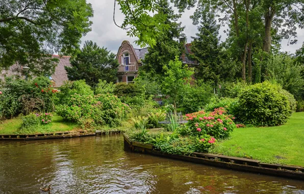 Picture greens, water, trees, flowers, lawn, home, garden, channel
