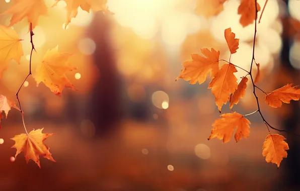 Autumn, leaves, Park, background, forest, park, background, autumn