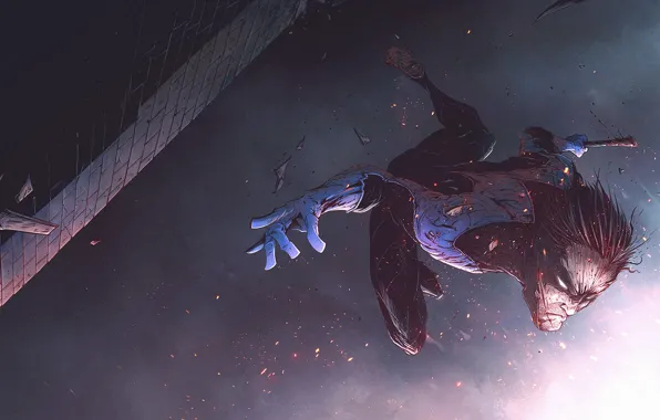 Fighter, Art, Art, Comics, DC Comics, Character, Nightwing, Nightwing