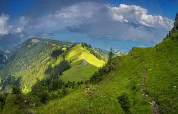 Greens, forest, summer, the sky, clouds, light, mountains, river