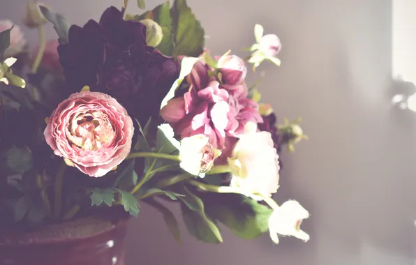 Flowers, bouquet, petals