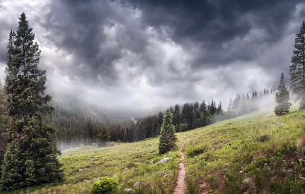 Landscape, mountains, fog