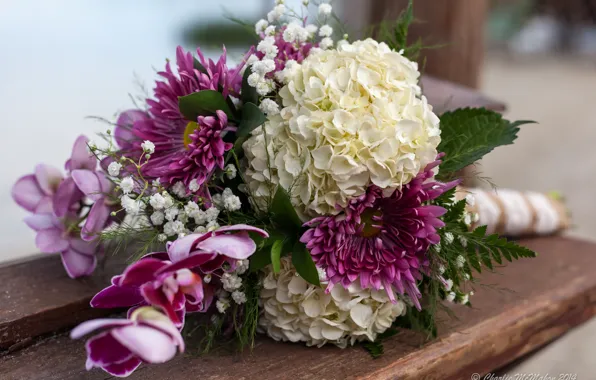 Picture bouquet, hydrangea, Dahlia