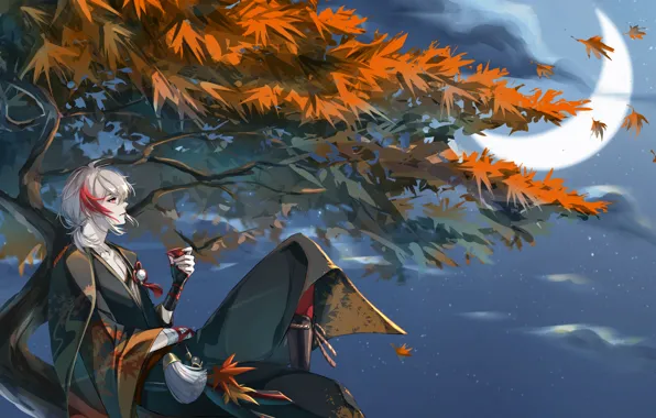 Picture autumn, trees, night, guy, Genshin Impact, Kaedehara Kazuha