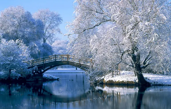 Picture winter, bridge, Germany