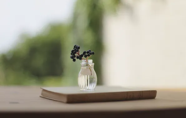 Picture berries, background, branch, blur, book, vase